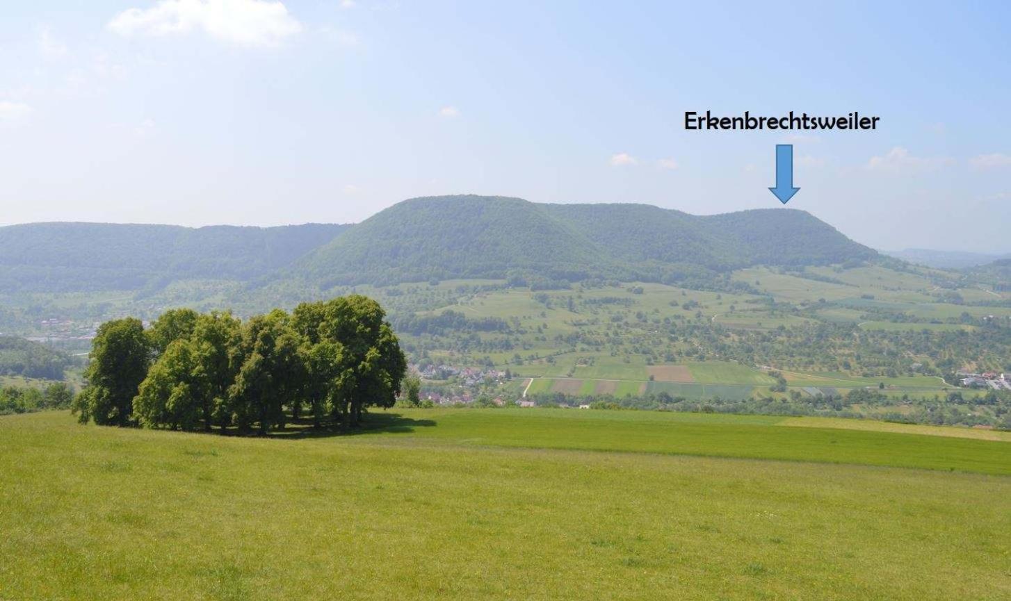 Fewo-Alb-Traum Erkenbrechtsweiler Dış mekan fotoğraf
