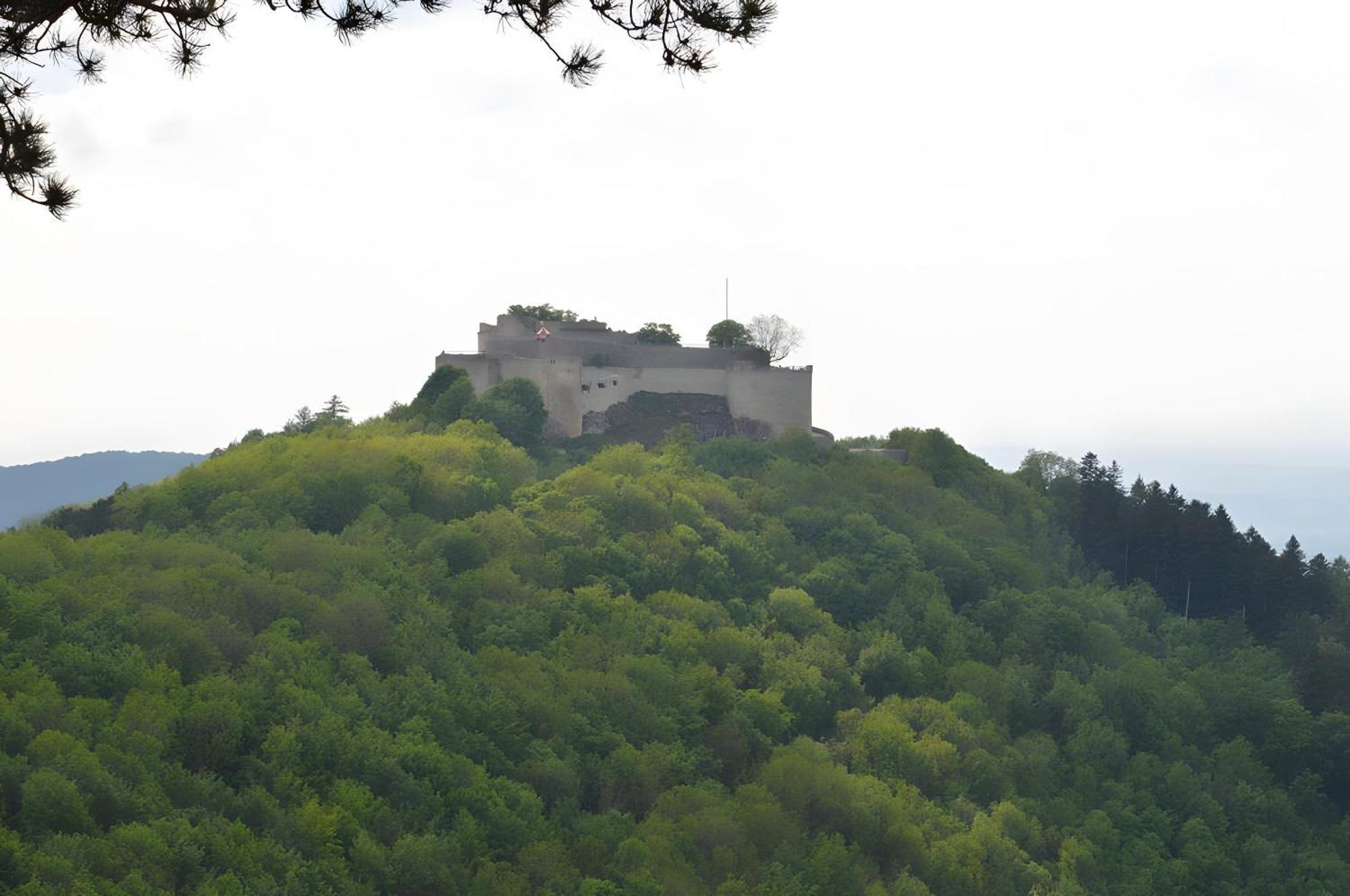 Fewo-Alb-Traum Erkenbrechtsweiler Dış mekan fotoğraf